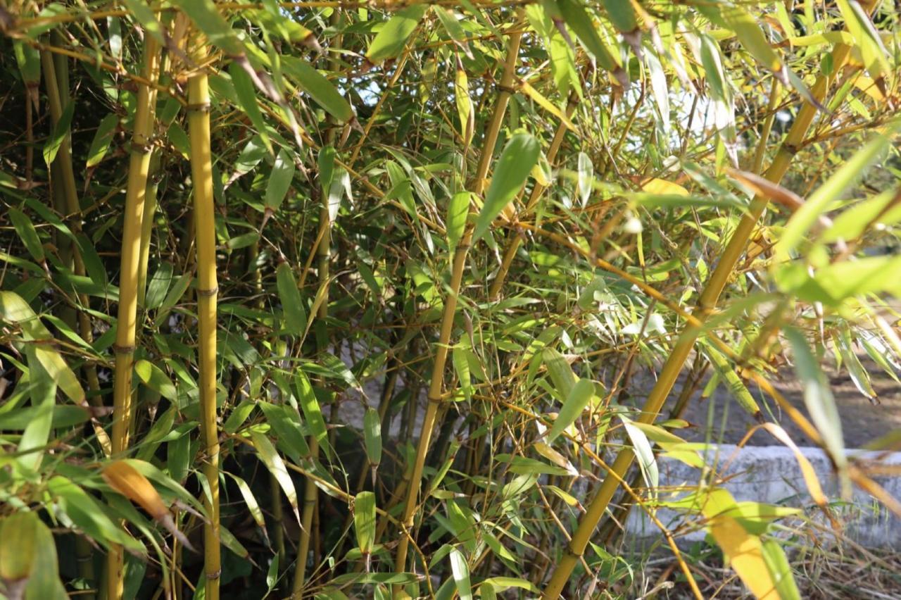 הוילה Sobral de Monte Agraço Quinta Do Carvalheiro מראה חיצוני תמונה